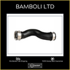 Bamboli Hose For Volkswagen Eos 2.0 Tfsi 1K0145832E